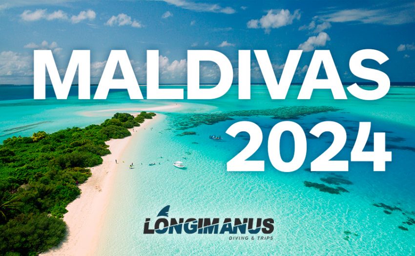 Maldivas 2025 - Longimanus Trips