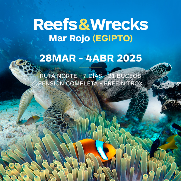 vidaabordo mar rojo marzo 2025 ruta norte arrecifes y pecios