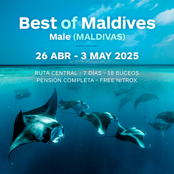 vidaabordo maldivas abril 2025