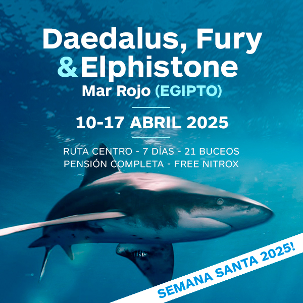 vidaabordo mar rojo abril 2025 tiburones ruta centro
