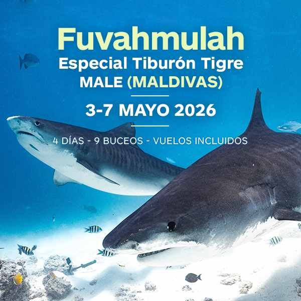 viaje fuvahmulah mayo 2026 en grupo