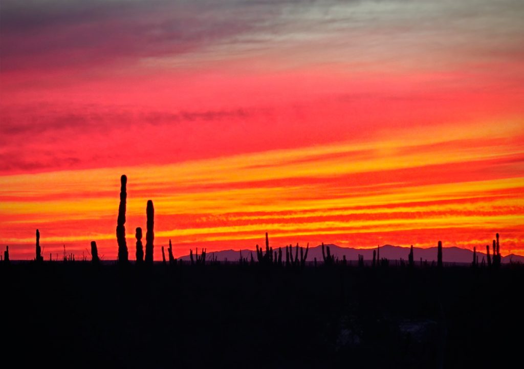 atardecer baja california sur
