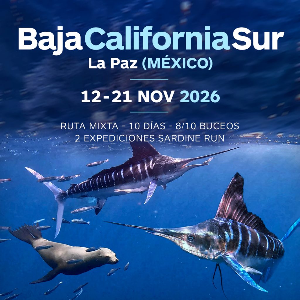 baja california sur viaje en grupo noviembre 2026