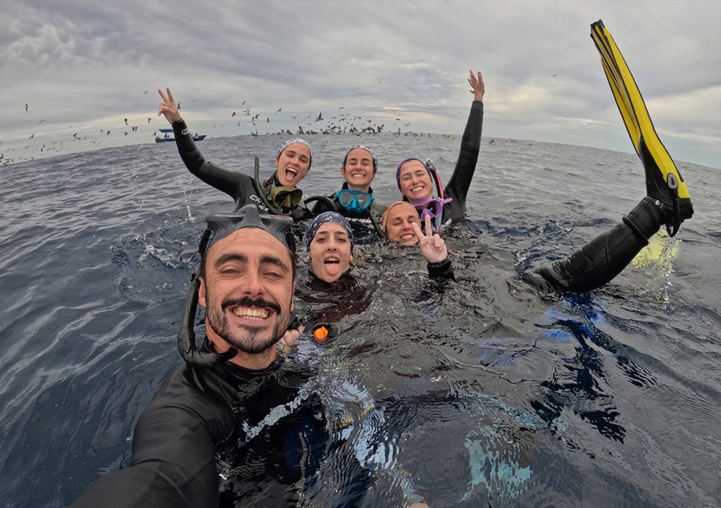 sardine run baja california viaje en grupo longimanus trips