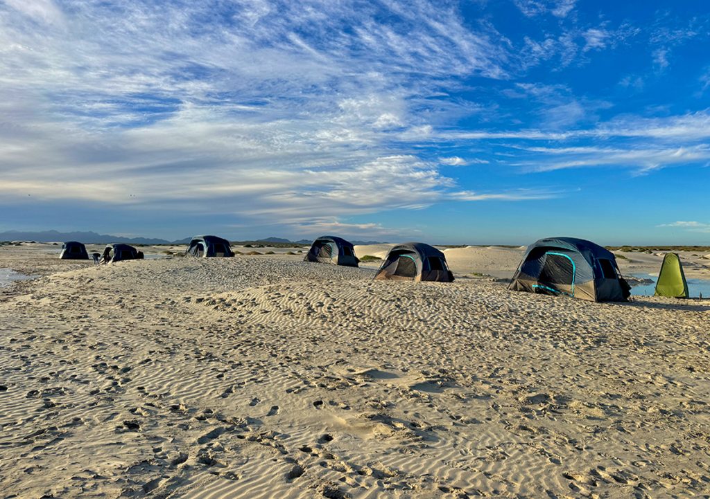 baja-california-sur-2026-3