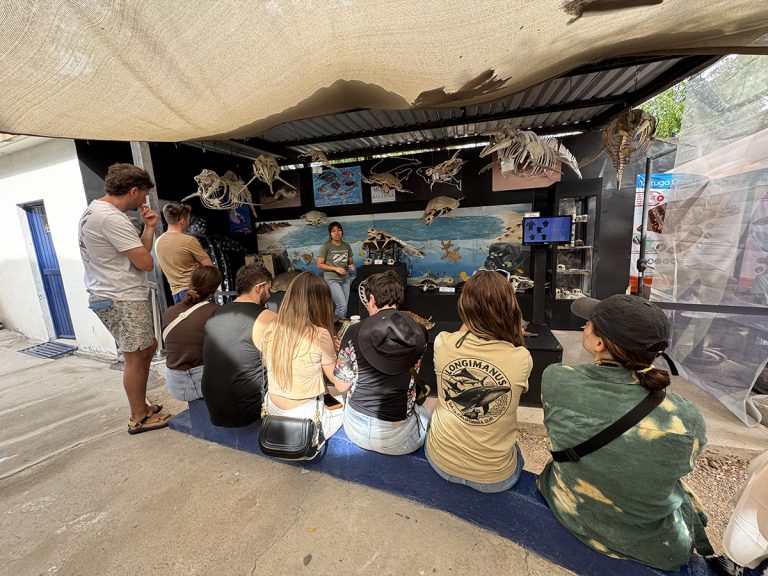 baja california sur enterprise longimanus trips (4)