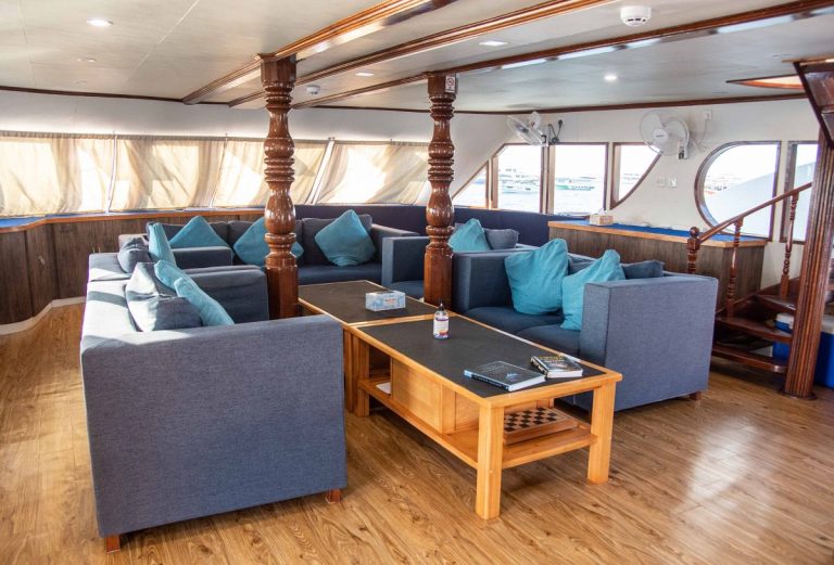 Emperor-Voyager-saloon-1