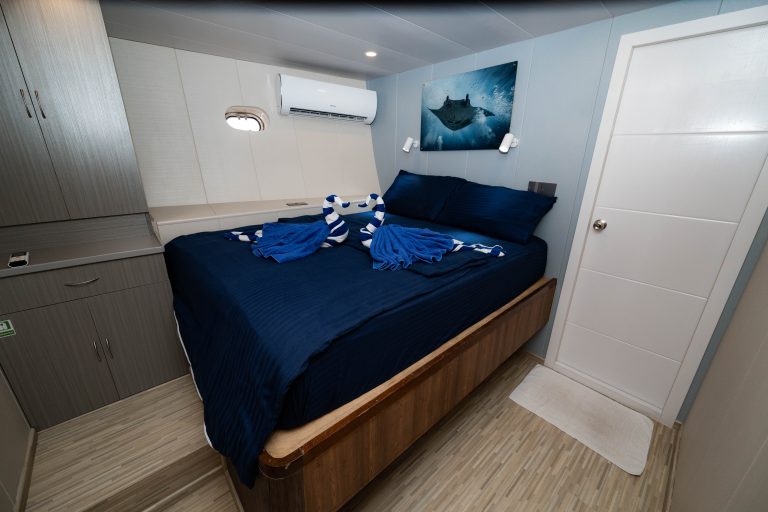 Voyager-Lower-Deck-Double