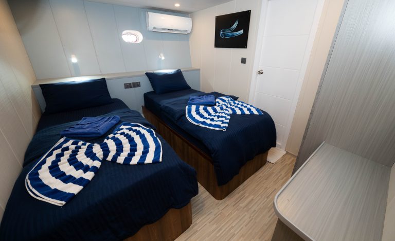 Voyager-Lower-Deck-Twin