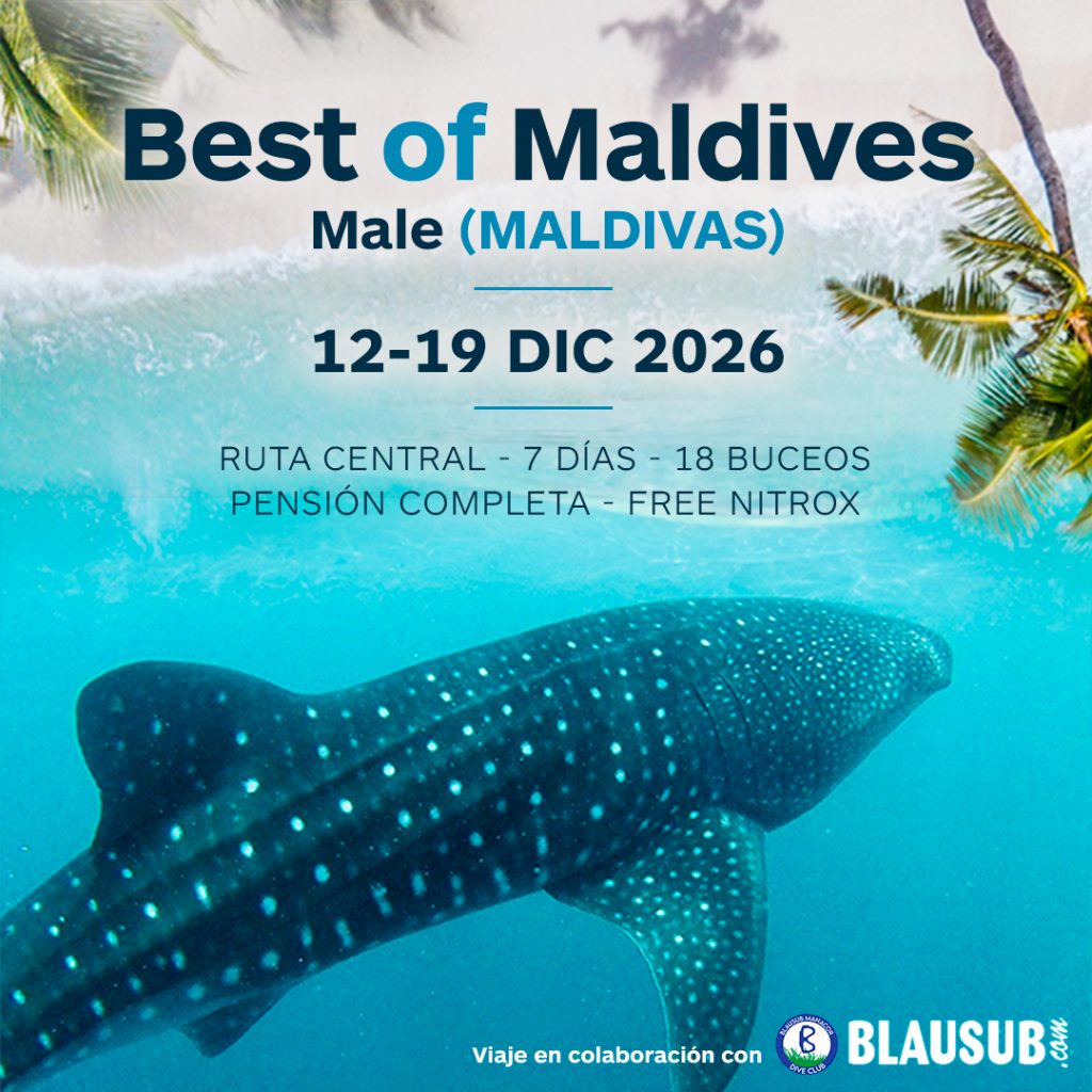 vidaabordo maldivas diciembre 2026