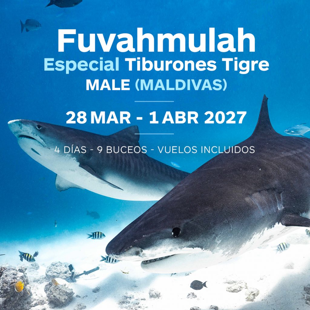 viaje fuvahmulah grupo 2027