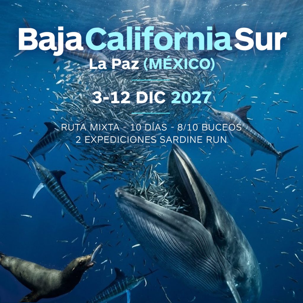 viaje en grupo baja california sur diciembre 2027