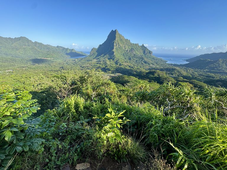 Moorea