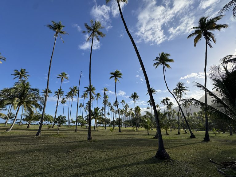 Moorea